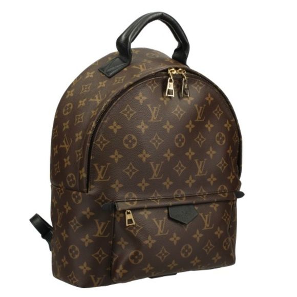 Louis Vuitton Backpack Monogram Palm Springs MM - Picture 2 of 8